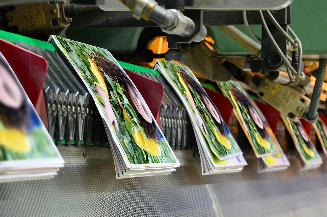 Photo of Print Shop